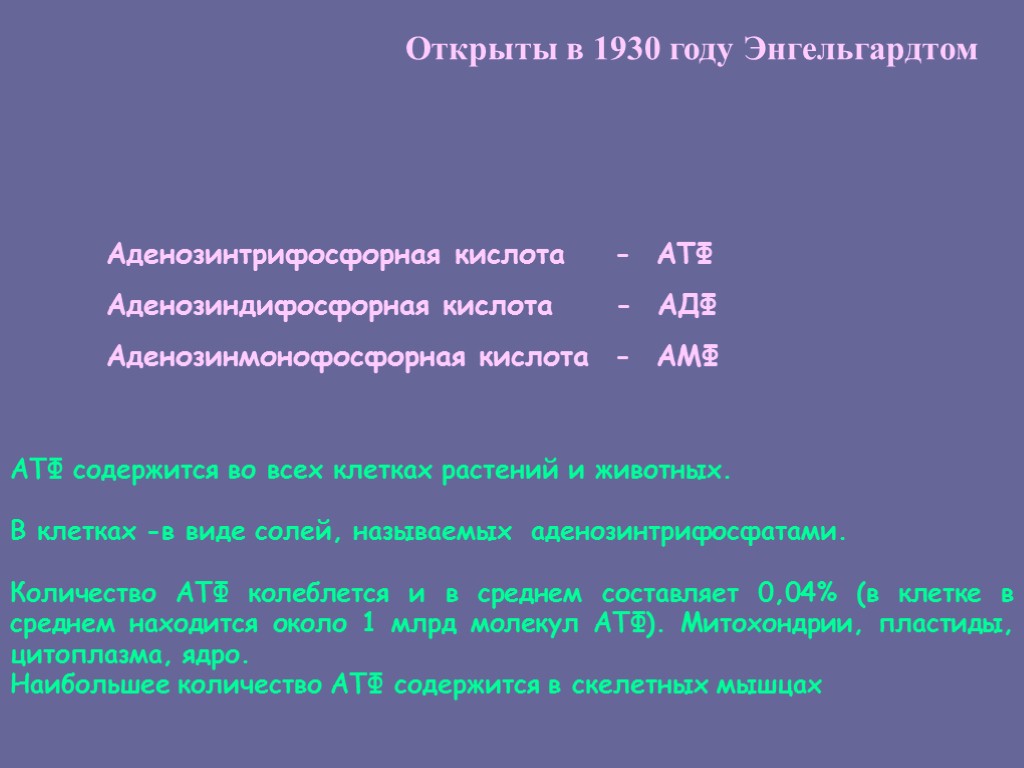 Открыты в 1930 году Энгельгардтом Аденозинтрифосфорная кислота - АТФ Аденозиндифосфорная кислота - АДФ Аденозинмонофосфорная